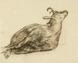 Giovanni Giacometti, Eine tote Gämse