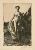 Anders Zorn, Summer
