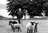 Thomas Hoepker, Willy Brandt on a walk