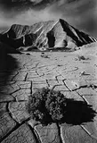 Jeanloup Sieff, Death Valley, Mojave Desert, California 1977