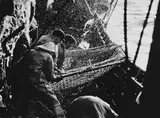 Mihaly Moldvay, The tough men from fishing trawler Mechthild' (12 prints), Iceland 1970, 1970, photograph