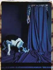 William Wegman, Blue Toe (and Charlie), 1984, photograph