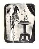 Joel-Peter Witkin, Who Naked Is