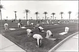David Hurn, Sun City, Arizona 1980, 1980, photograph
