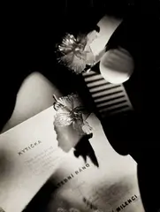 Jaroslav Rössler, Kytička' (Flowers), 1958, photograph