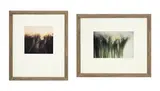 David Hamilton, Arums et Glycines, suite de 2 photographies couleurs