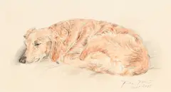 François de Poret, Labrador, technique mixte sur papier