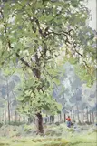 Basil Poustochkine, Paysage forestier, huile sur carton