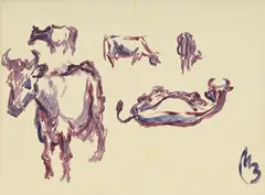 Maurice Barraud, Etude de bovins, aquarelle sur papier