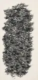 Reza Mafi, Mashghi exercice de calligraphie, encre sur papier