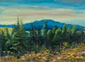 Erhard Zwar, Wildblumen. Motiv aus dem Isergebirge. Blick über d. Grellbusch nach dem Laubaner Hohwald zu, Um 1940, Öl auf Malpappe