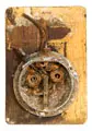 Lutz Fleischer, AVIS, 2003, Assemblage