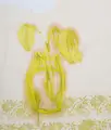 Petra Kasten, Blumenvase, Öl und Farbmonotypie auf Papier