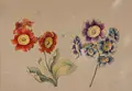 Caroline Friederike Friedrich, (zugeschr.), Aurikel (Primula auricula). Wohl um 1800, Gouache über Blei auf "Vanderley"-Bütten