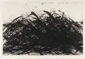 Max Uhlig, Elbuferbäume, Radierung auf Bütten / Lithografie auf "Hahnemühle"-Bütten