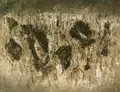 Eberhard Göschel, Graubraune Spuren, 1979, Farbradierung