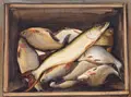 Wolfgang Kühne, Fischkiste, 2007, Wasserfarben und farbige Pastellkreide auf Bütten