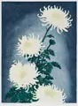 Carl Thiemann, Chrysanthemen (weiß)