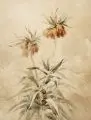 Arno Drescher, Schwertlilie / Kaiserkrone / Sonnenblumen / Stillleben mit Blumentopf. Wohl 1930er Jahre, Aquarelle auf Japan bzw