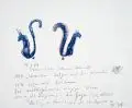 Horst Janssen, Alle Wissenden setzen auf die Primaten. ICH setze auf Eichhorn, 1984, Farbkreidezeichnung auf feinem Papier