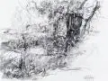 Reinhard Springer, Am Wilisch 7, Jeweils in Blei bzw Grafit signiert "Springer" und überwiegend datiert. a) Kohlestiftzeichnung, in Tusche laviert, auf kräftigem Papier, Verso mit Werkangaben i