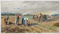 Max Pietschmann, Kartoffelernte im Dresdner Elbtal. Wohl 1920er Jahre, Farbkreidezeichnung und Gouache über Bleistiftzeichnung auf bläulichem Maschinenbütten