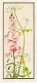Goldregen / Feuernelken und Schafgarbe. 1920er/1930er Jahre by Marlies Meinshausen-Felsing, Farbholzschnitte auf Japan, offered Nov 2023