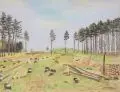 Fritz Tröger, Waldlichtung mit gefällten Bäumen, 1942, Farbige Kreidezeichnung