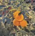 Felix Funk, Orangen, 1934, Aquarell