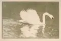 Carl Thiemann, Schwan, Farbholzschnitte auf kräftigem Papier. "Schwan" im Stock monogrammiert "CT" und datiert o.li. "Bach im Winter" unsigniert