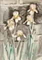 Erhard Hippold, Gartenstück mit Iris. Wohl 1960er Jahre, Aquarell auf "PMI FABRIANO"-Aquarellkarton