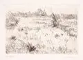 Otto Niemeyer-Holstein, Überschwemmte Wiesen I, 1976, Strichätzung und Kaltnadelradierung mit leichtem Plattenton auf Bütten