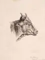 Johann Adam Klein, / Johann Elias Ridinger / Marcus de Bye, Acht Tierdarstellungen. 18./19. Jh, Radierungen und ein Kupferstich