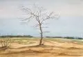 Erich Lindenau, Weite Landschaft mit kahlem Baum, 1930, Aquarell