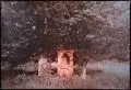 Hans-Jörg Schönherr, Altar unter Buchen, 1980, Silbergelatineabzug, getont und handkoloriert, vollflächig auf Untersatzkarton kaschiert