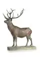 Julius Heinrich Hähnel, Hirsch. Spätes 19. Jh, Bronze, gegossen, braungrün patiniert