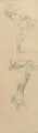 (zugeschr.), Tierstudien. Mitte 19. Jh by Joseph von Führich, Bleistiftzeichnung auf Japan, offered Jun 2021