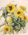 Barbara Popp, Sonnenblumen. Wohl um 1930, Aquarell