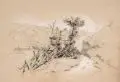 Carola von Sachsen, Gebirgslandschaft in Böhmen by Königin von Sachsen Carola, 1866, Kohlestiftzeichnung, weiß gehöht, auf festem Papier, offered Dec 2020