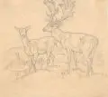 Guido Hammer, Sechs Tierstudien. 1870er Jahre, Bleistiftzeichnungen auf verschiedenen Papieren