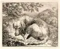 Christoph Nathe, Schlafender Hund, Radierungen auf Bütten