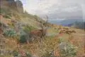 Albert Ernst Mühlig, Sichernder Rothirsch, Gouache und Tempera auf Malpappe