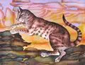 Leonore Adler, Katze zwischen Felsen, 2017, Aquarell