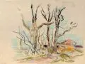 Hans Martin Ruwoldt, Kahle Bäume, 1945, Farbige Pastellkreidezeichnung über Bleistift auf Japan