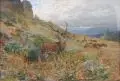 Albert Ernst Mühlig, Sichernder Rothirsch, Gouache und Tempera auf Malpappe