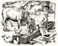 Heinrich Ilgenfritz, An der Tränke. Mitte 20. Jh, Kupferstich auf "Hahnemühle"-Bütten