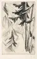 Heinrich Nauen, Tannenwald, 1922/1923, Radierung mit leichtem Plattenton auf Bütten