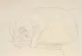 Wolfgang Peuker, Schlafende Katze. Ohne Jahr, Bleistiftzeichnung auf chamoisfarbenem Papier