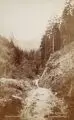 Hermann Krone, Dittersbach, Stammbrückenthal 2, 1885, Albuminabzug, vollflächig auf mittelbraunem Trägerkarton montiert