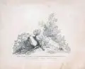 Der Lovando by Johann Elias Ridinger, Kupferstiche auf Bütten, offered Jun 2019